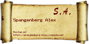 Spangenberg Alex névjegykártya